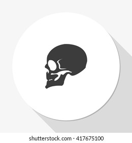 Skull profile view.