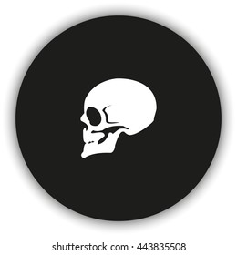 Skull profile view.