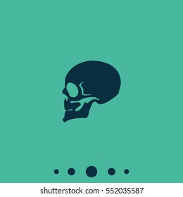Skull profile view.