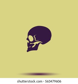 Skull profile view.