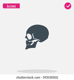 Skull profile view.