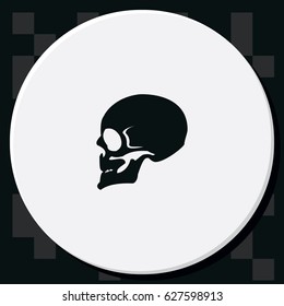 Skull profile view.