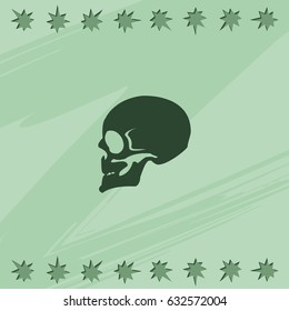 Skull profile view.