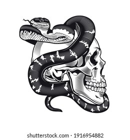 Skull with python tattoo design. Monochrome element with dead skeleton head and snake vector illustration. Wild animal gothic concept for symbols and labels templates