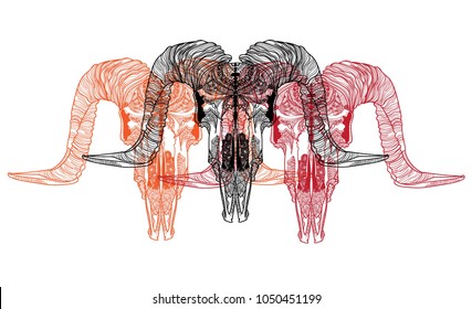 Skull of a ram.  Meditation, coloring of the mandala. Ethnic. Drawing manually, templates. Strips, points, arrows. Spots of watercolor paint, spray.