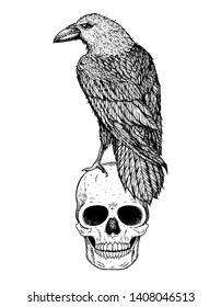 Skull and raven hand drawn illustration. Tattoo vintage print. Skull hand drawn print. Tattoo design. Raven sitting on a skull