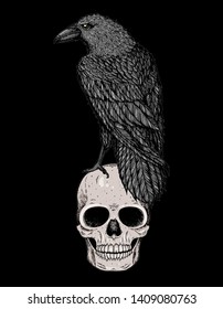 Skull Raven Hand Drawn Illustration Tattoo Stock Vector (Royalty Free ...