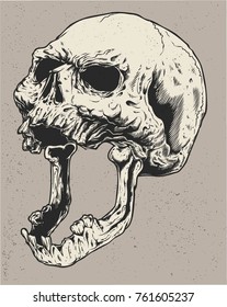 SKULL REAPER HAND DRAWN VECTOR