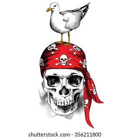 Skull in red pirate bandana and with seagull. Vector illustration.