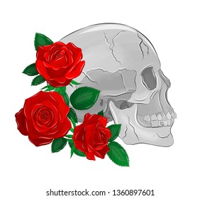 Skull Red Roses Stock Vector (royalty Free) 1360897601