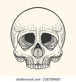 Skull In Retro Vintage, Engraving Style Design. Skeleton Sketch Tattoo And Tshirt Design Template.