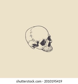 skull retro vintage logo vector