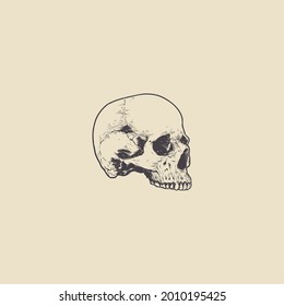 vector de logotipo retro