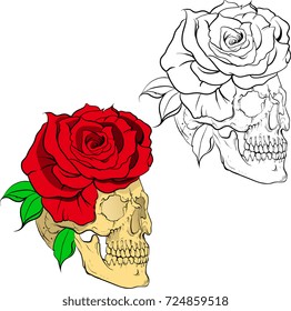 Skull and Rose