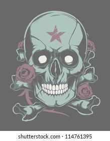 Skull with rose background