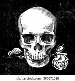 Skull with rose. Black and white. On the black background. Vector illustration.