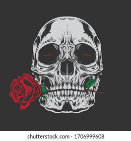 skull rose illustration and
