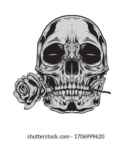 skull rose illustration with detailed engraving style 