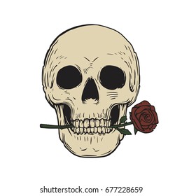 skull and rose isolated on white background