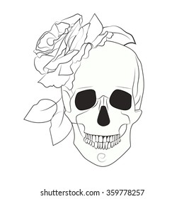 Skull with a rose on a isolated on white background. Vintage Vector illustration.Hand-drawn contour lines.