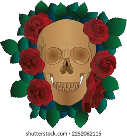 Skull rose roses vector red paint art skelet skeleton