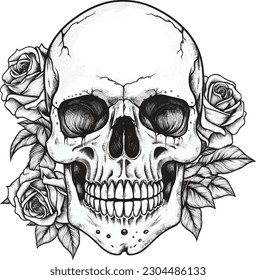 Skull and rose. tatto design. vector illustration.