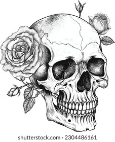 Calavera y rosa. diseño de tatuajes. ilustración vectorial.