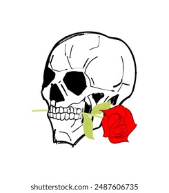 Skull with rose in teeth. Skeleton head and flower