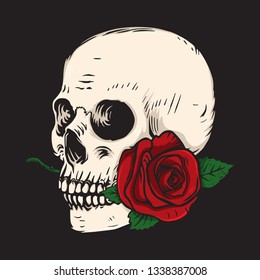 Skull and rose vector illustration