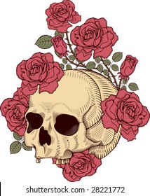 skull with roses