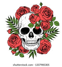 Skull and roses flowers hand drawn illustration. Tattoo vintage print. Skull and red roses.