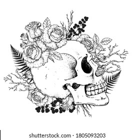 Skull Roses Flowers Hand Drawn Illustration Stock Vector (Royalty Free ...