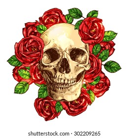 Skull With Roses Hand Drawn Illustration