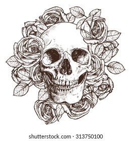 Skull And Roses. Hand Drawn Illustration