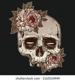 skull and roses illustration
