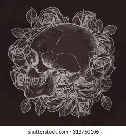 Skull And Roses In Profile In Profile