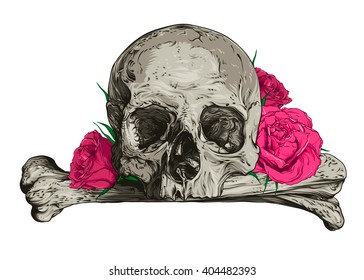 Skull and roses. Vector illustration