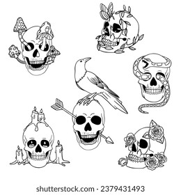 Skull set design. Bright Magic Psychedelic Mushrooms and skulls. Tattoo template of skull with flowers and snake