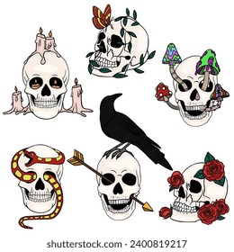 Skull set design. Bright Magic Psychedelic Mushrooms and skulls. Tattoo template of skull with flowers and snake
