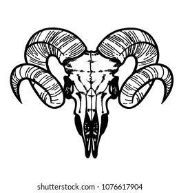 Skull of a sheep. Horns silhouette. Tattoo, symbol line art drawing. Boho print, poster, t-shirt. textiles. Vector illustration art. Vintage engraving. Vintage silhouette. Traditional art tattoos.