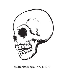 skull, side view, isolated on white, vector illustration