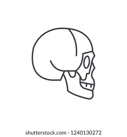 Skull side view line icon concept. Skull side view vector linear illustration, symbol, sign
