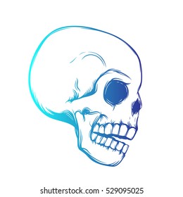 skull, side view, vector outline, t-shirt design