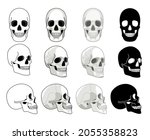 Skull sides. Front and side views drawn skull collection for evolution cemetery death medical tattoo concepts, human anatomy cartoon skeleton head bone vector drawing illustration isolated on white