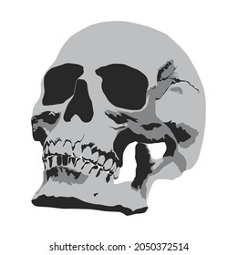 Skull silhouette black and white and grey. Vector Illustration.