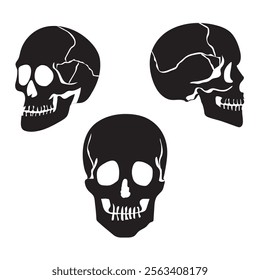 Skull Silhouette: Gothic Icon, Death Concept, Spooky Design, Flat Vector Illustration