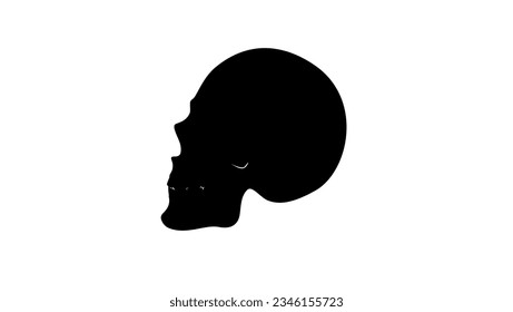 silueta de cráneo, vector de alta calidad