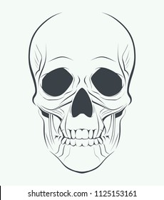 Skull silhouette illustration