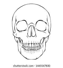 Skull, Simple Line Art Illustration, Isolated Vector