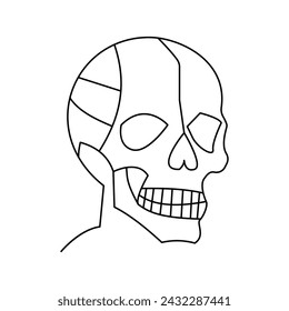 skull single continuous one line out line vector art  drawing  and tattoo design